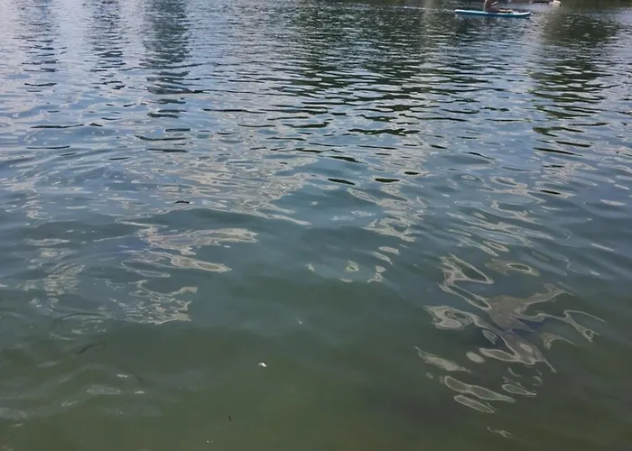 Donau *